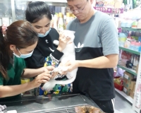 Cắt tỉa làm đẹp thú cưng