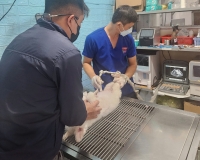 Siêu âm và Xét nghiệm