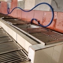 Lưu trú và Khách sạn thú cưng