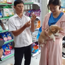 Tiêm ngừa thú cưng