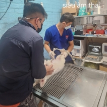 Siêu âm và Xét nghiệm