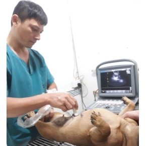 Siêu âm và Xét nghiệm