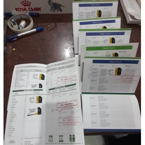 Tiêm ngừa thú cưng