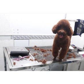 Cắt tỉa làm đẹp thú cưng