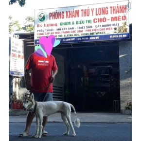 Cắt tỉa làm đẹp thú cưng