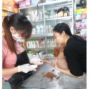 Cắt tỉa làm đẹp thú cưng