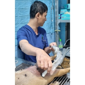 Siêu âm và Xét nghiệm