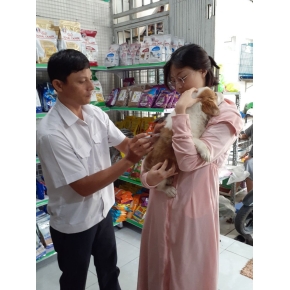 Tiêm ngừa thú cưng