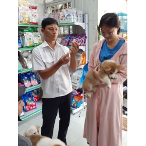Tiêm ngừa thú cưng