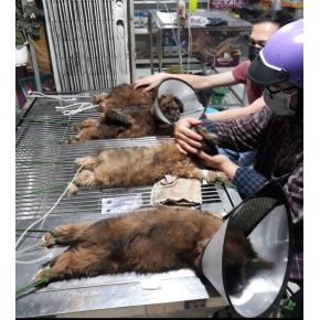 Hình ảnh cửa hàng