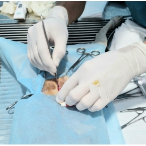 Hình ảnh phẫu thuật tại Phòng khám