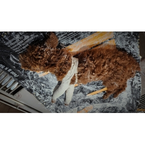 Hình ảnh phẫu thuật tại Phòng khám