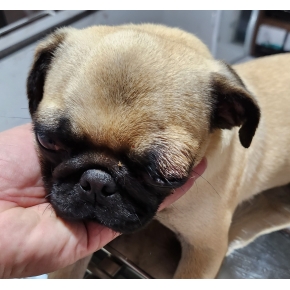 Hình ảnh phẫu thuật tại Phòng khám