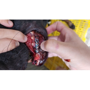 Hình ảnh phẫu thuật tại Phòng khám