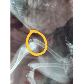 Hình ảnh phẫu thuật tại Phòng khám