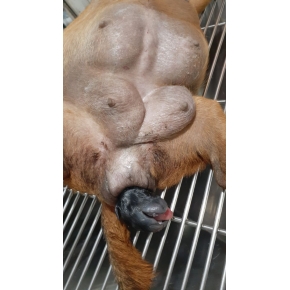 Hình ảnh phẫu thuật tại Phòng khám