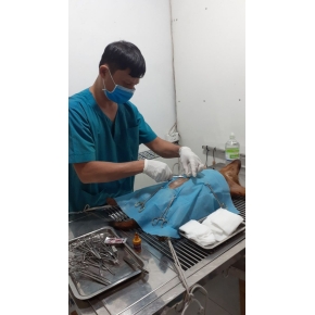 Hình ảnh phẫu thuật tại Phòng khám