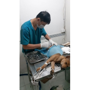 Hình ảnh phẫu thuật tại Phòng khám