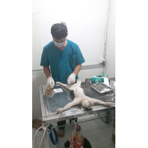 Hình ảnh phẫu thuật tại Phòng khám