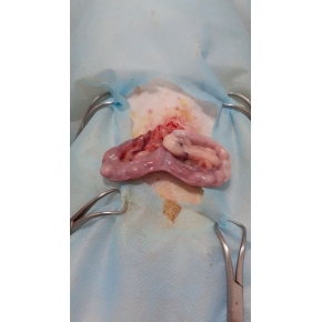 Hình ảnh phẫu thuật tại Phòng khám