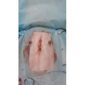 Hình ảnh phẫu thuật tại Phòng khám