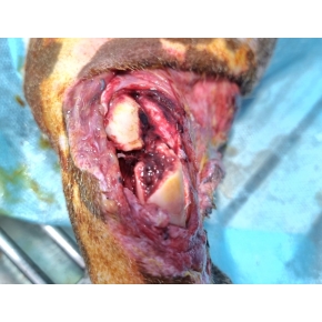 Hình ảnh phẫu thuật tại Phòng khám