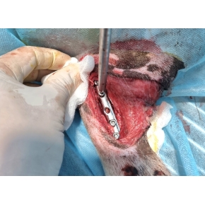 Hình ảnh phẫu thuật tại Phòng khám