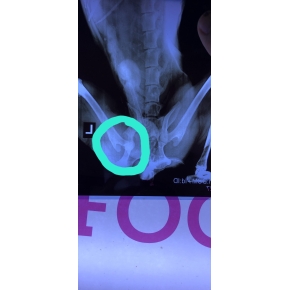 Hình ảnh phẫu thuật tại Phòng khám