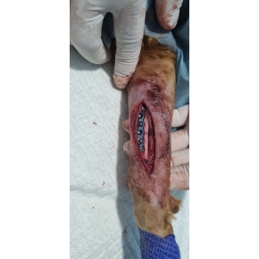 Hình ảnh phẫu thuật tại Phòng khám