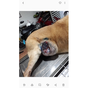 Hình ảnh phẫu thuật tại Phòng khám