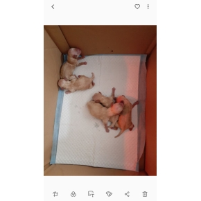 Hình ảnh phẫu thuật tại Phòng khám