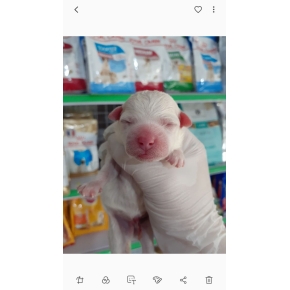 Hình ảnh phẫu thuật tại Phòng khám