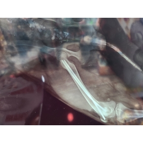 Hình ảnh phẫu thuật tại Phòng khám