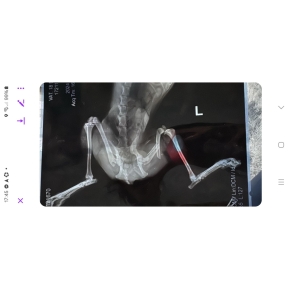 Hình ảnh phẫu thuật tại Phòng khám