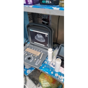 Siêu âm thú cưng