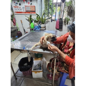 Hình ảnh cửa hàng