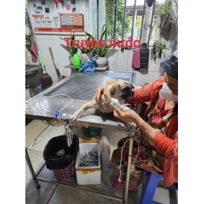 Hình ảnh cửa hàng