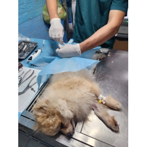 Mổ chỉnh hình gãy xương cho bé tại phòng khám