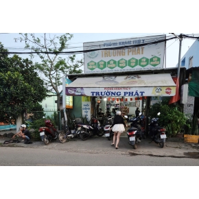 Mổ khó đẻ, mổ gãy xương, thiến và triệt sản mèo