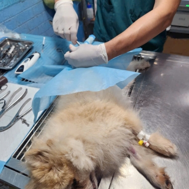 Mổ chỉnh hình gãy xương cho bé tại phòng khám