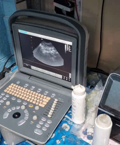 Siêu âm thú cưng