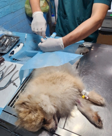 Mổ chỉnh hình gãy xương cho bé tại phòng khám